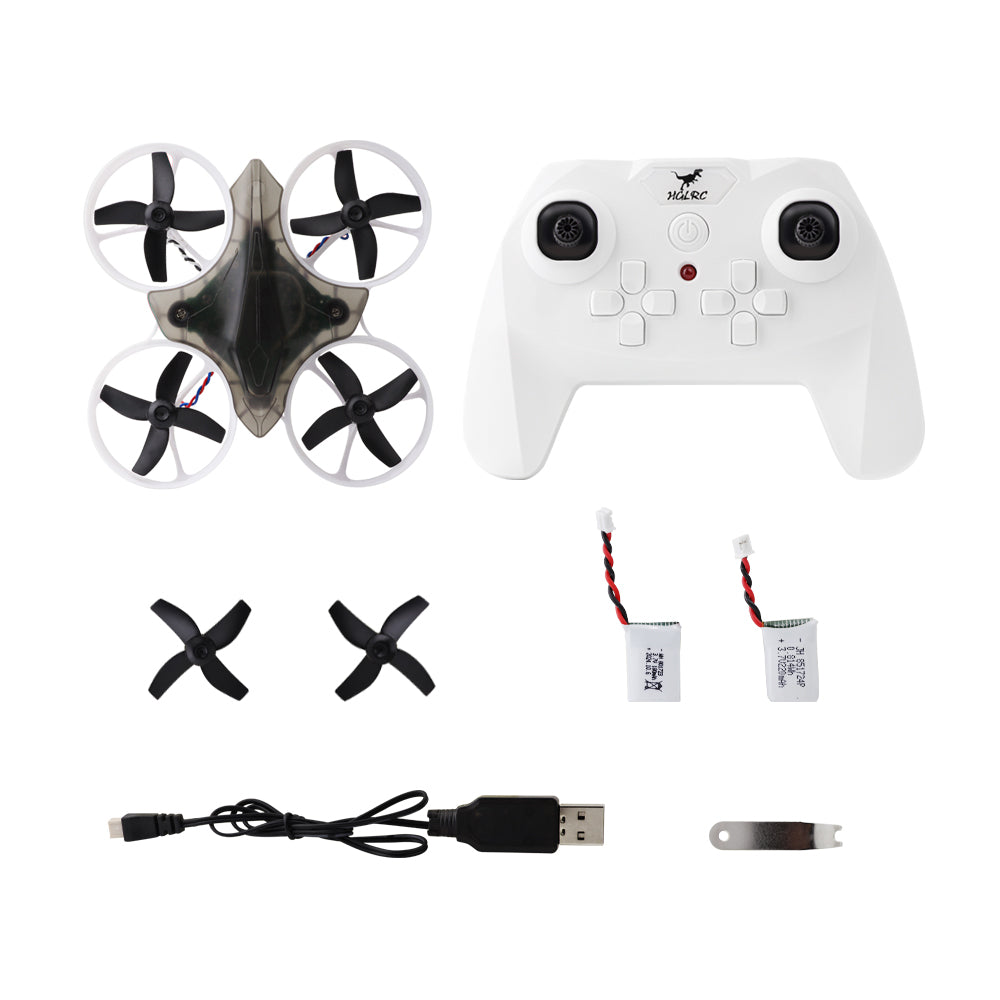 HGLRC Wingy 65mm Brushed Tiny  - đánh giá và giá Drone Kit Beginner